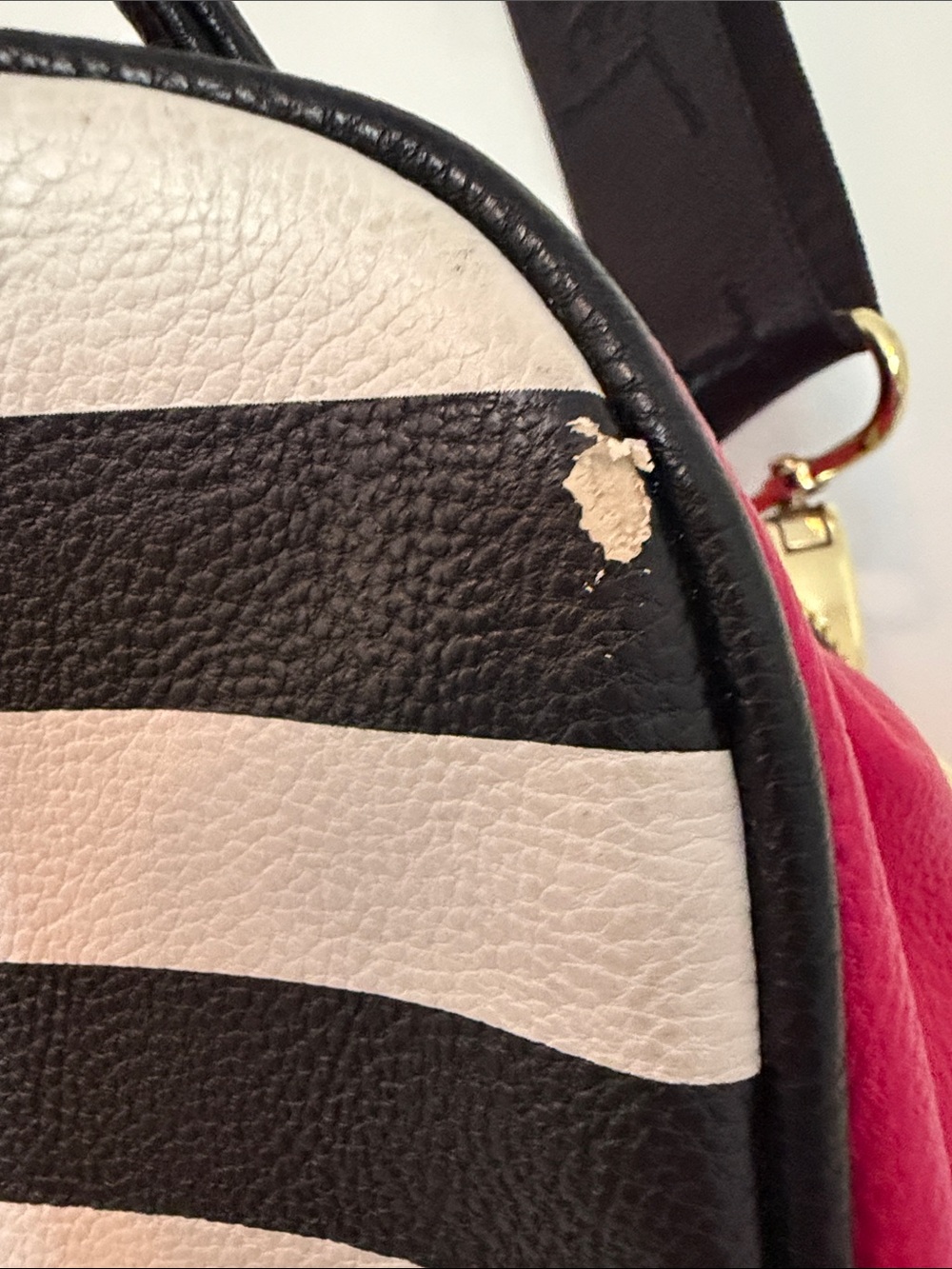 Betsey Johnson Kitsch Out To Lunch Crossbody Sandwich Bag Insulated Tote - Picture 6 of 9